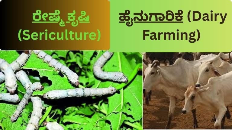 ರೇಷ್ಮೆ ಮತ್ತು ಹೈನುಗಾರಿಕೆ